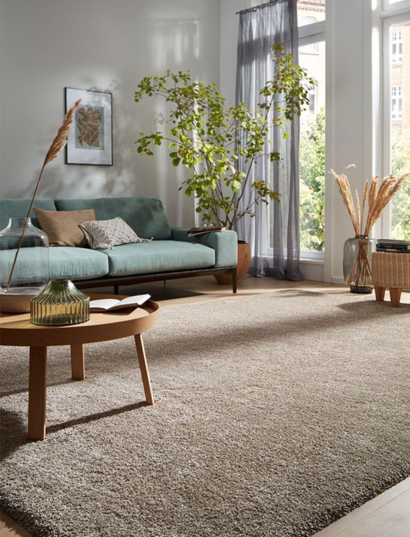 Modernes Wohnzimmer mit Zimmerpflanze einem Sofa und Jab-Teppiche
